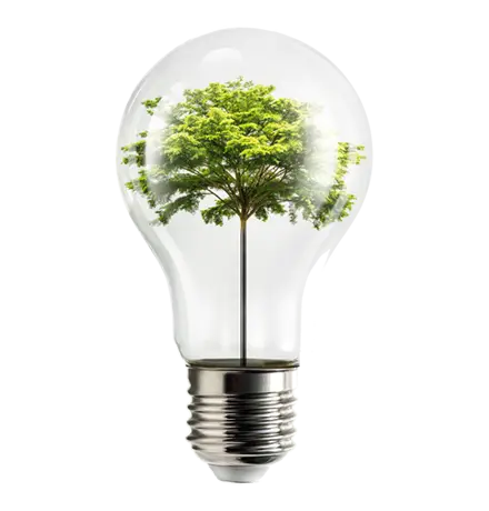 Eco Friendly Performance, Kyocera, Environment, Office Solutions & Services