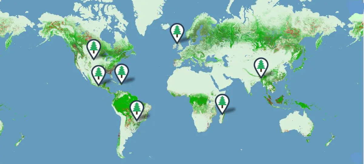 Forestry Map, PrintReleaf, Office Solutions & Services
