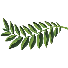 Native Woodlands, PrintReleaf, Office Solutions & Services
