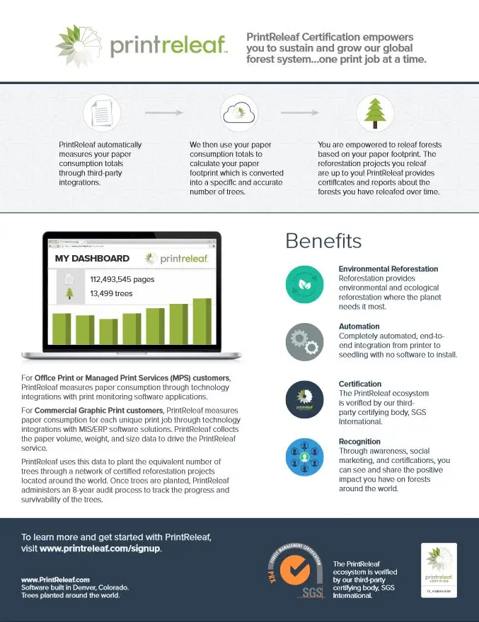 One Page Summary Flyer, PrintReleaf, Office Solutions & Services