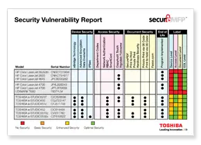 Vulnerability Report, MPS, MDS, Toshiba, Office Solutions & Services